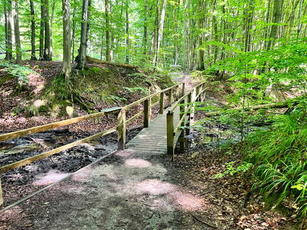 24-07-02 13-04-19 0114